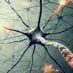 neuro stutikh